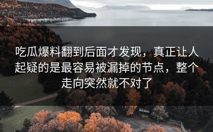 吃瓜爆料翻到后面才发现，真正让人起疑的是最容易被漏掉的节点，整个走向突然就不对了
